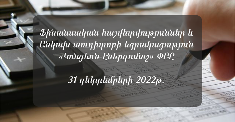 Fin Audit 2022